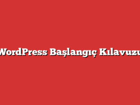 WordPress Başlangıç Kılavuzu